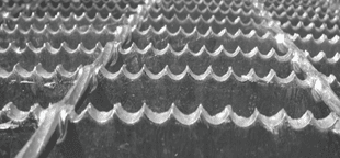 Imagine model dinte de ferăstrău